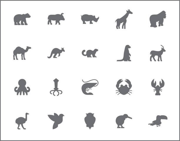 set von tier- und haustierlinienstil. - ostrich ape animal monkey stock-grafiken, -clipart, -cartoons und -symbole