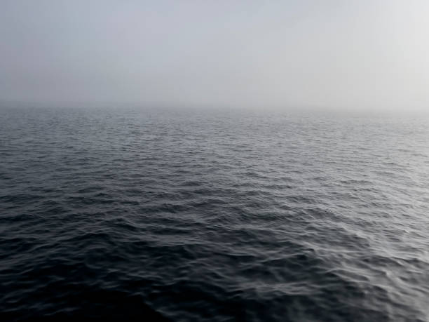 istock Foggy Sea 1352596660