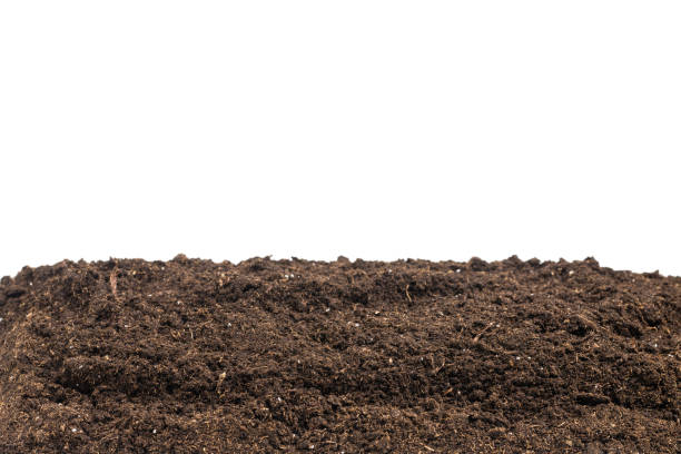 istock Soil for plant isolated on white background. 1352598140