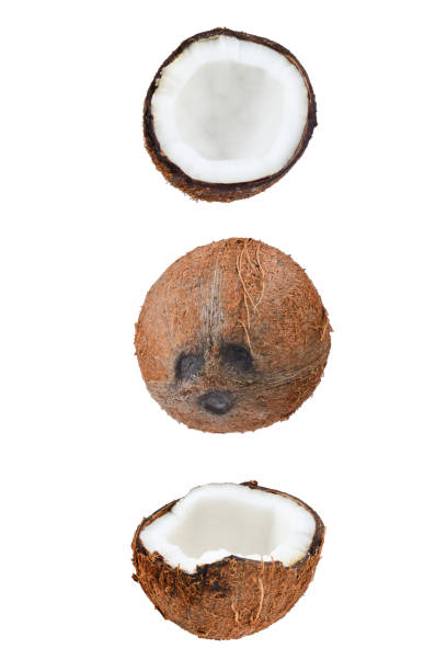 istock Coconut isolated on white background. Space for text or design. 1352598160