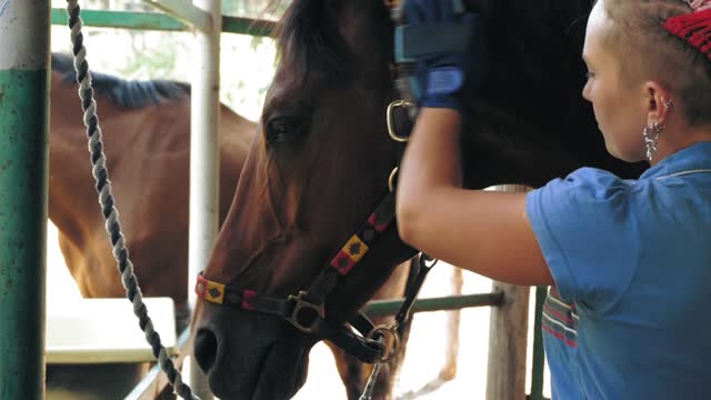 take care of a horse. horse stable. young woman is grooming her horse and cleaning horse body, using a brush, on a farm, during the daytime. Taking care of pets. Horse love