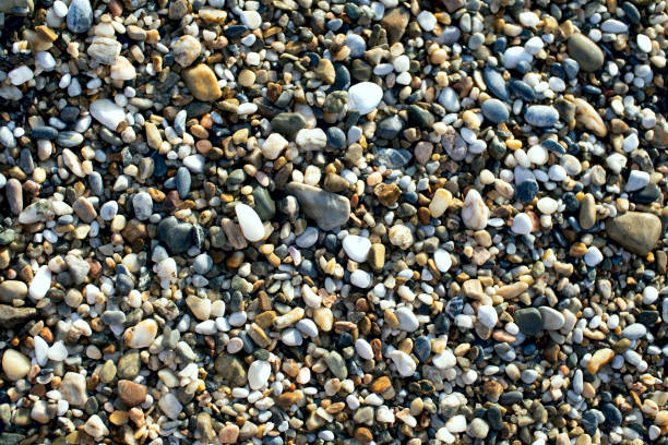 istock Real natural background: pile of shingles. 1352602241