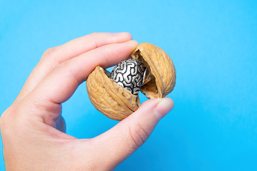 Female hand holding a miniature steel copy of a human brain in a nutshell against a blue background. The concept of the energy boost for mental activity.
