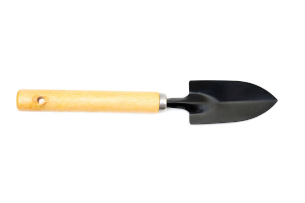 istock Gardening hand tool for digging isolated on white 1352602311