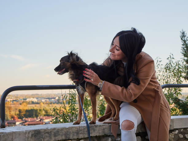 istock Brunette woman play with little dog 1352603730