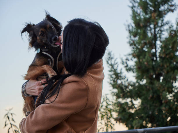 istock Brunette woman play with little dog 1352603796