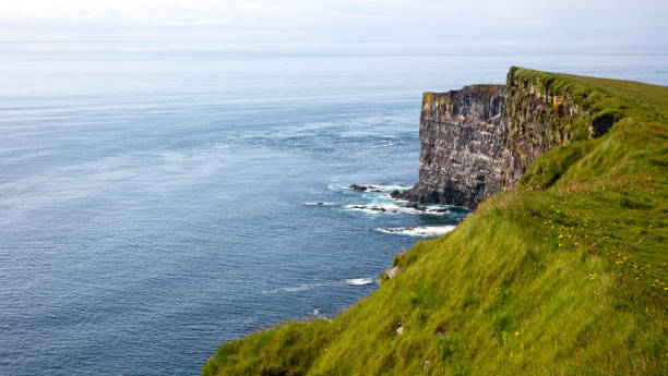 These majestic high cliffs are in Latrabjarg promontory, westernmost point in Iceland - Cordoned piece of land, danger of collapse - Home to millions of birds, they re Europe's largest bird cliffs, 14Km long and up to 440m high estos majestuosos acantilados altos se encuentran en el promontorio de latrabjarg, el punto más occidental de islandia - pedazo de tierra acordonado, peligro de colapso - hogar de millones de aves, son los acantilados de aves más grandes de europa, de 14