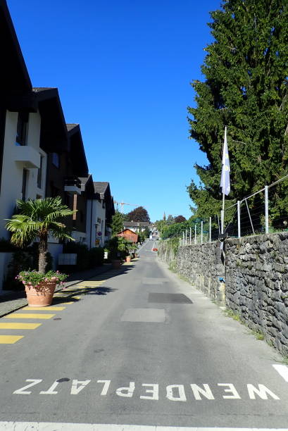 istock Townscape of Spiez, Switzerland 1352605876