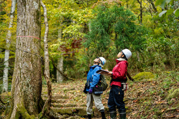 istock Two foresters gather data for reforestation and resource management purposes 1352608175