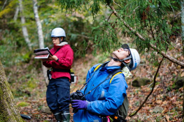 istock Two foresters gather data for reforestation and resource management purposes 1352608269
