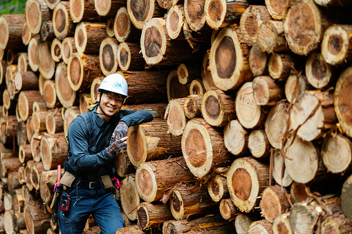 Mid adult forester standing in front of a pile of recently harvested timber in Japan