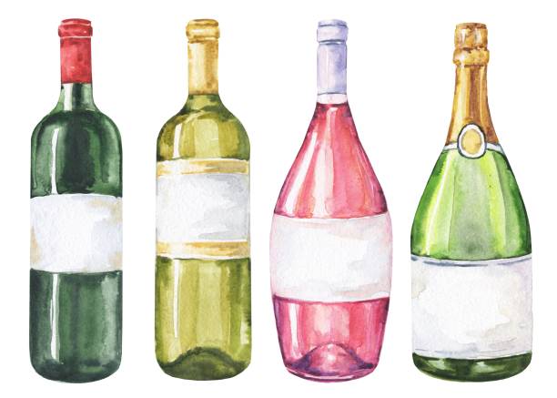 illustrazioni stock, clip art, cartoni animati e icone di tendenza di bottiglie di vino ad acquerello isolate su bianco. rosso, bianco, rosa e champagne. illustrazione di cibo ad acquerello. - wine bottle illustrations