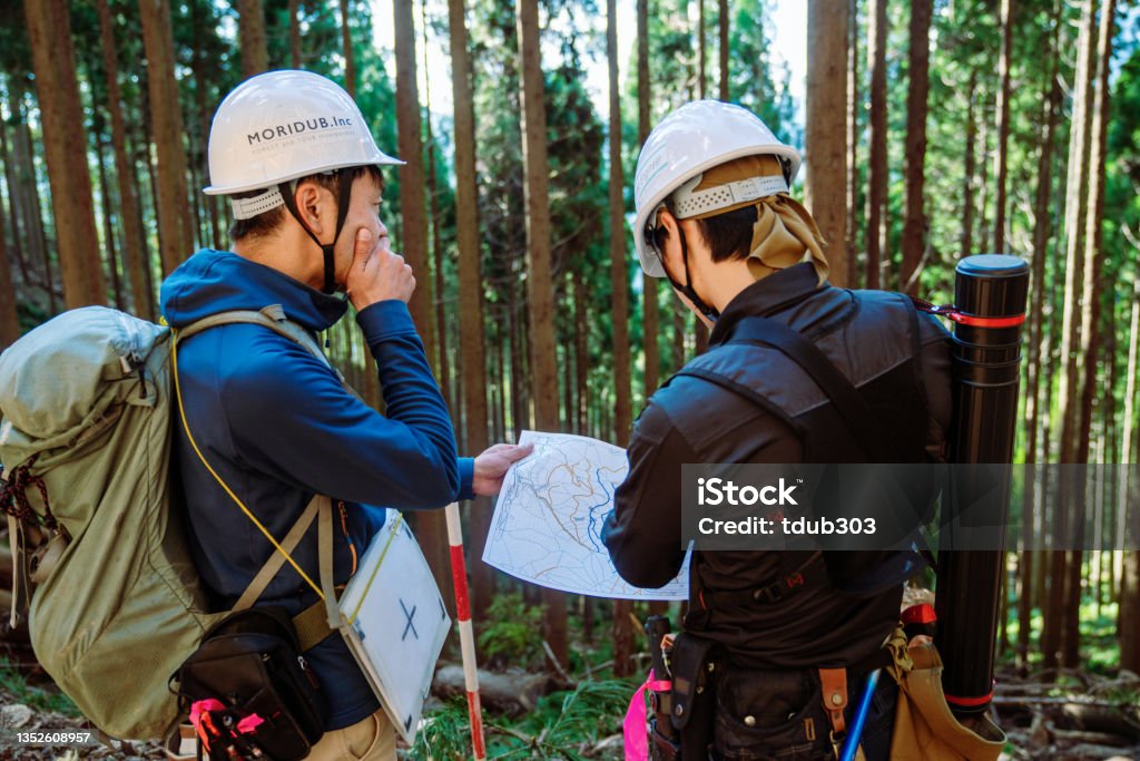 Selective Logging Map Two Forestry Workers Review A Topographic Map At A Selective Logging ...