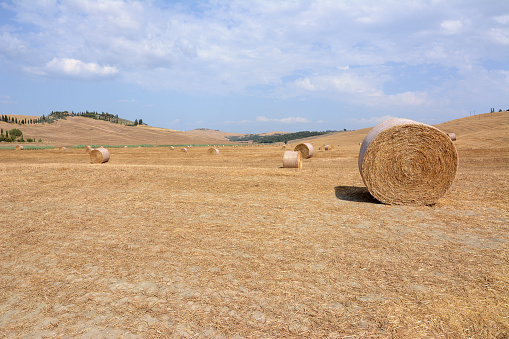 Landscape view of the famous Crete Senesi, Asciano, in the province of Siena, Tuscany.