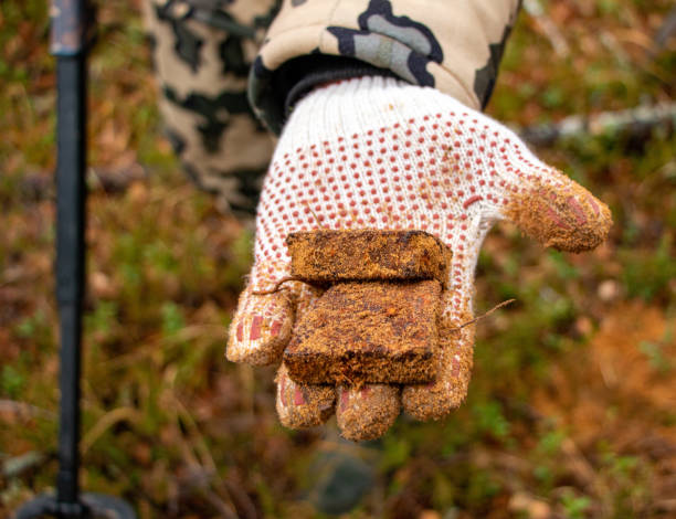 istock Man hands keep old iron fragments, clean them from dirt, clay, land and rust, after searching and producing scrap metal in forest. 1352613829