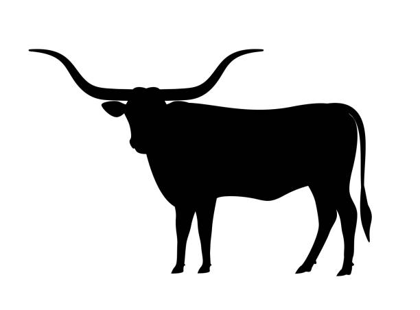 텍사스 롱혼 가축 아이콘, 벡터 일러스트레이션 - texas longhorn cattle bull horned cattle stock illustrations