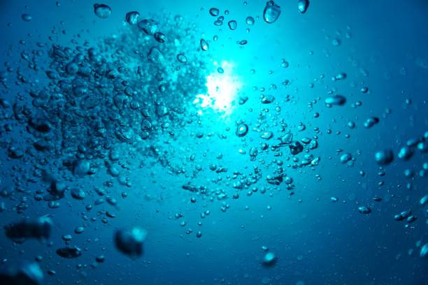 istock Air bubbles in the deep blue ocean 1352615497