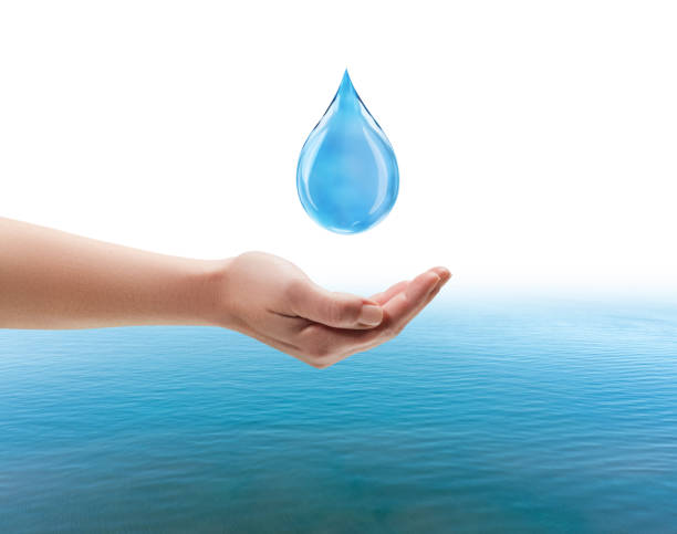 istock Hand try to holding water drop isolated on white background dropping. saving water concept. 3D illustration 1352616573