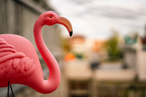 Closeup side view of a pink flamingo ornament, taken from back porch overlooking yard and street in background.