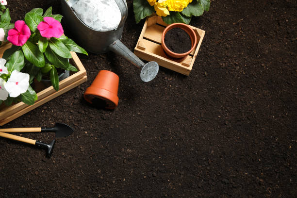 istock Flat lay composition with gardening tools and flowers on soil, space for text 1352617651