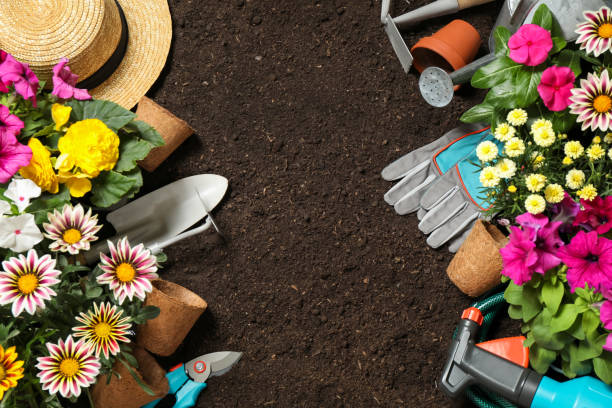 istock Flat lay composition with gardening tools and flowers on soil, space for text 1352617969