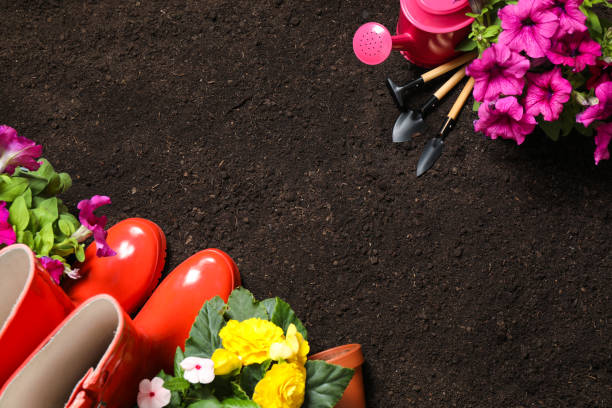istock Flat lay composition with gardening tools and flowers on soil, space for text 1352618470