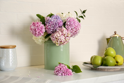 Beautiful hydrangea flowers and apples on light countertop