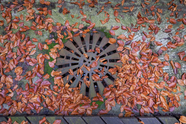 Rainwater sewer and autumn leaves in a side street in Copenhagen, the capital of Denmark