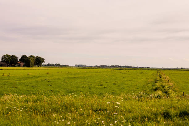 istock European natural countryside 1352621831