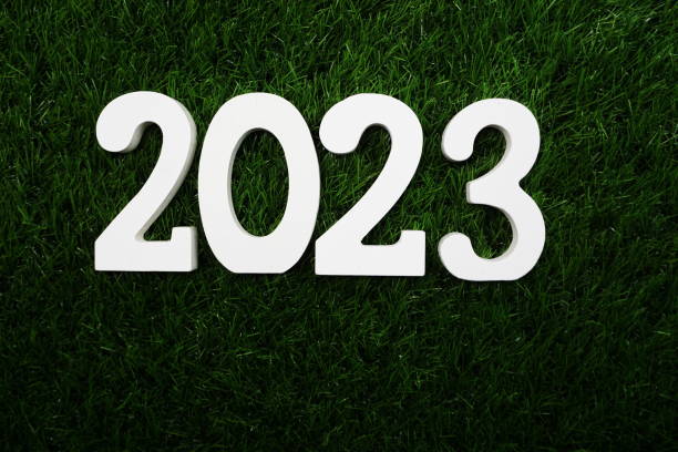 istock 2023 Happy New Year Flat lay on Green artificial grass 1352621887