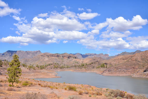Dark Water Lake in Gran Canaria Canary Islands Spain