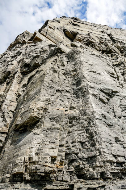 istock tree on the rock, in Norway Scandinavia North Europe 1352622469