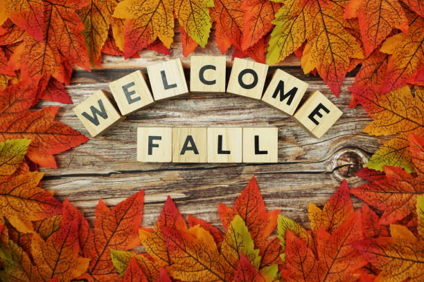 istock Welcome Fall alphabet letter with maple leaves frame on wooden background 1352622900