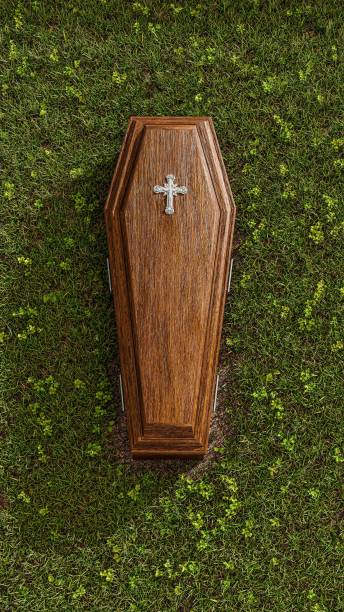 coffin on green grass stock photo