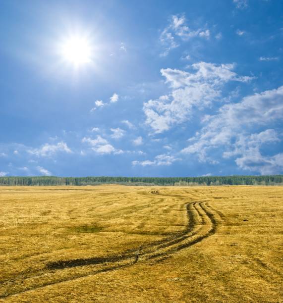 istock road in a steppe by a bright day 1352623801