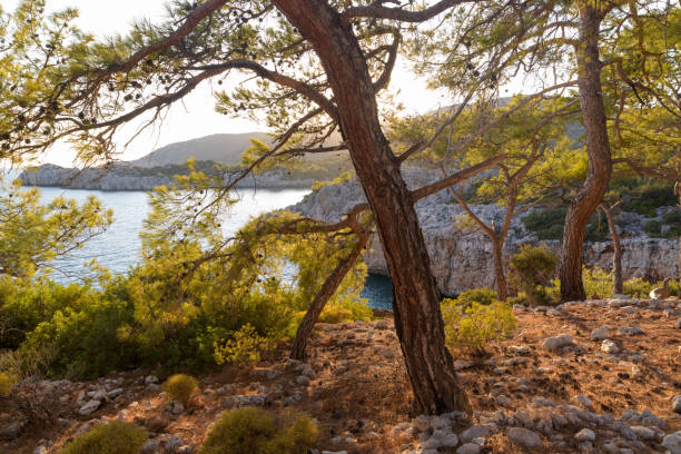 istock Romantic seashore scenery on the Lycian Way. Turkey 1352624718