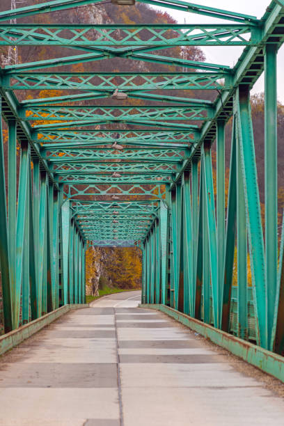 istock Green Steel Bridge 1352642944