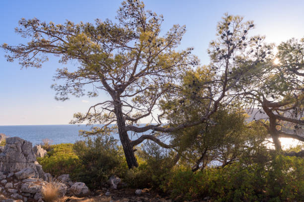istock Romantic seashore scenery on the Lycian Way. Turkey 1352643026