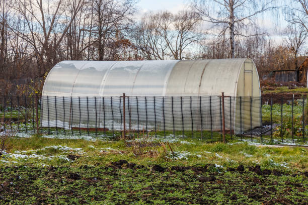 greenhouse in the garden - construction frame plastic agriculture greenhouse imagens e fotografias de stock