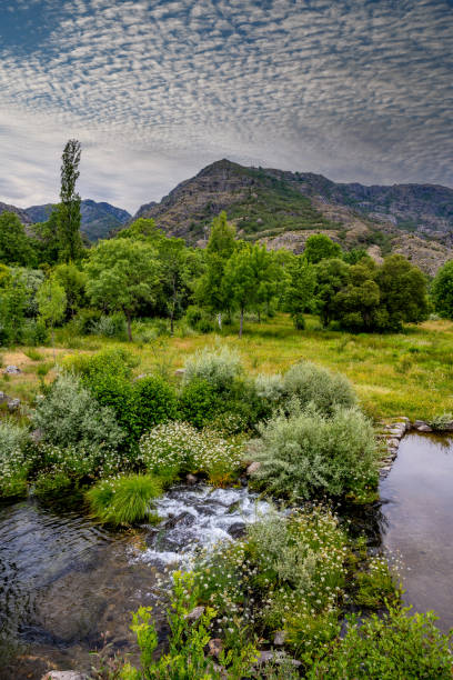 istock Serene landscape in Ribadelago, Spain, with view or river Tera. 1352646503