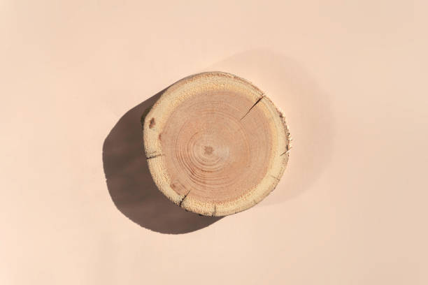 Woodcut lying on a trendy beige background