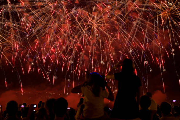 istock Beautiful fireworks in the dark evening sky. 1352650288