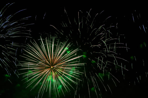 istock Beautiful fireworks in the dark evening sky. 1352650338