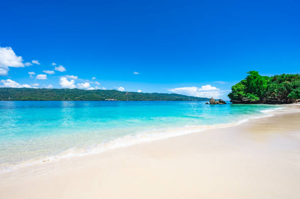 istock paradise beach bacardi island 1352652056