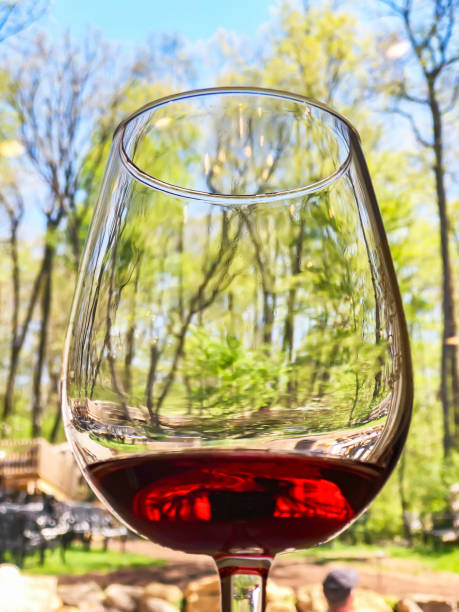 istock Raised Wine Glass at an outdoor winery 1352653229