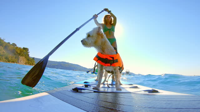 LD Small dog and its female owner paddling on a SUP at sea