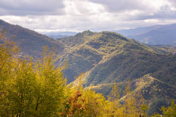 istock Mountains covered with colorful forest in autumn 1352654730