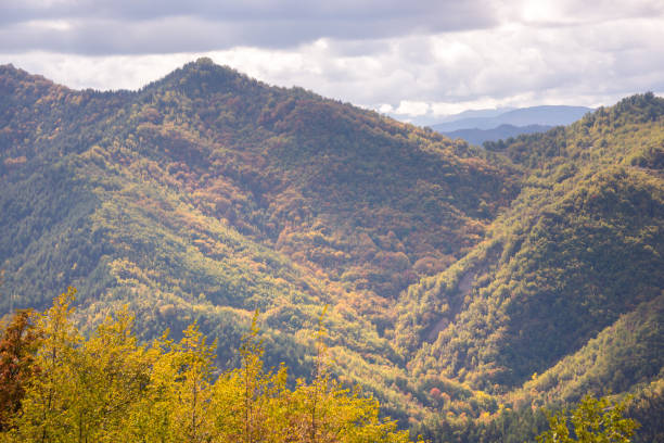 istock Mountains covered with colorful forest in autumn 1352654768