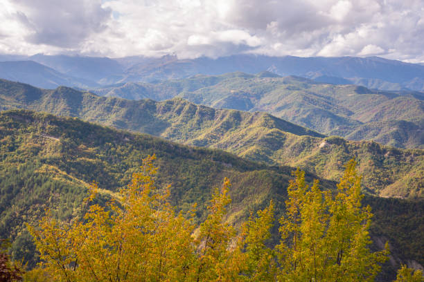 istock Mountains covered with colorful forest in autumn 1352654831