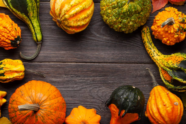 istock Various colorful squashes and pumpkins 1352656294